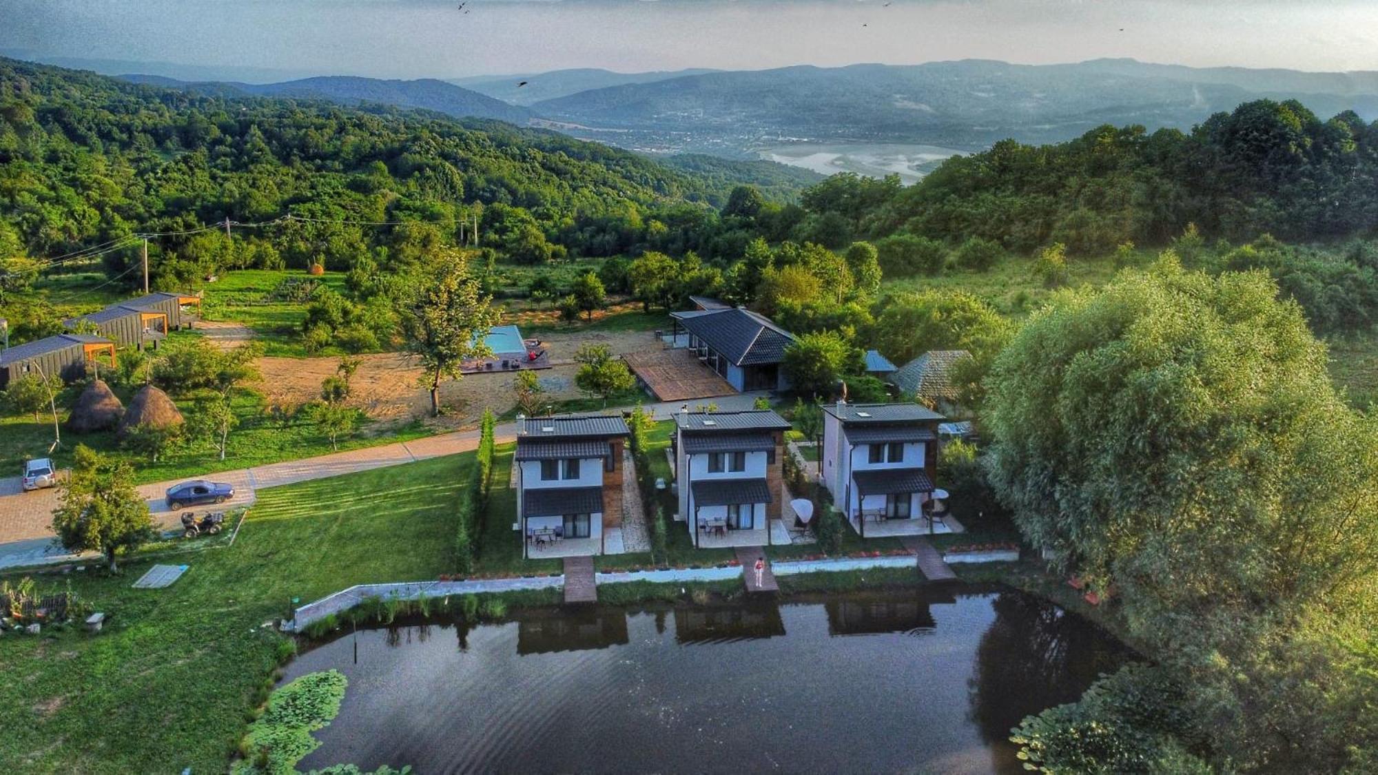 View Vila Daesti